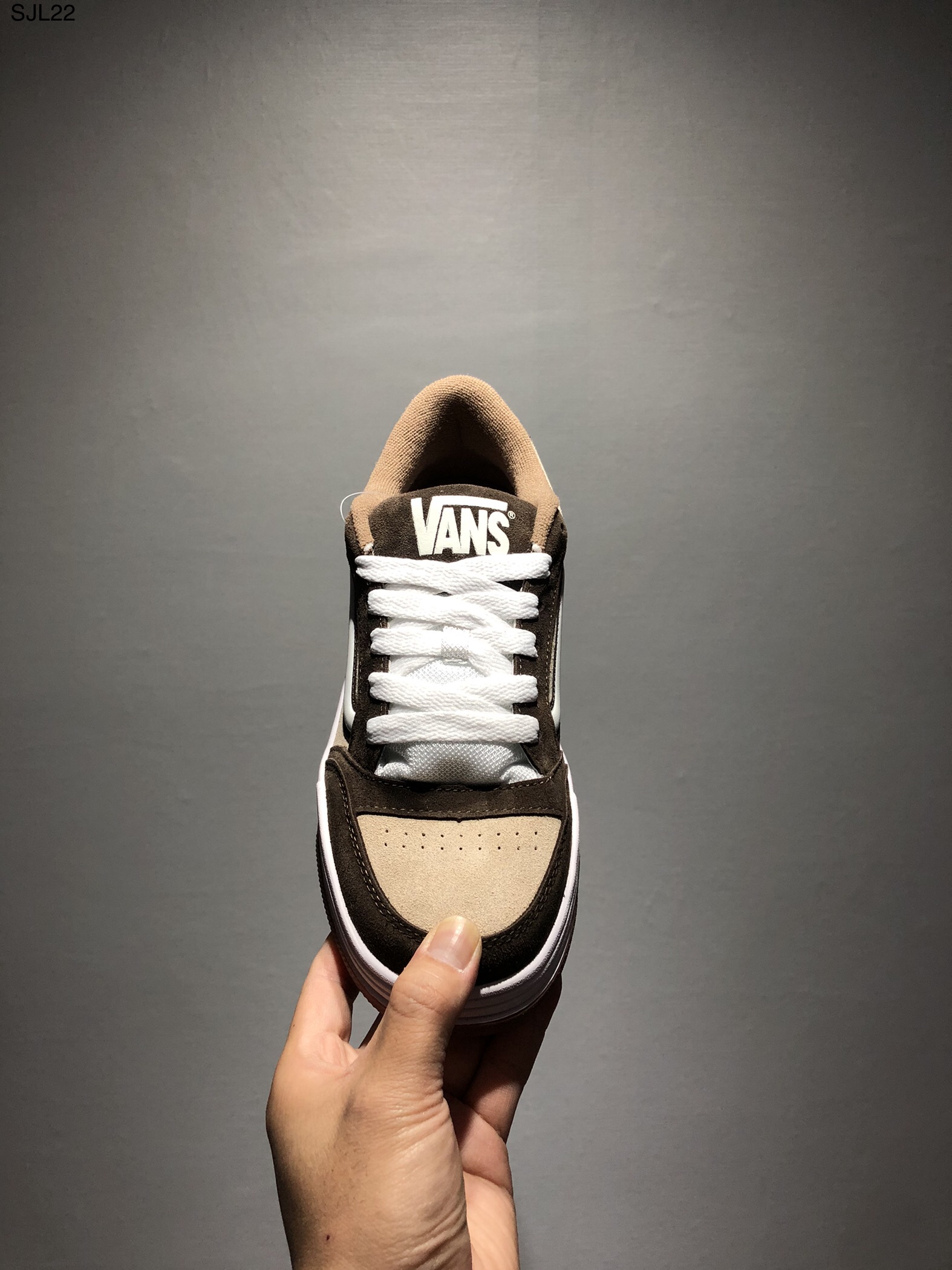 Vans Hylane Low-Top Casual Skate Shoes thumbnail 2